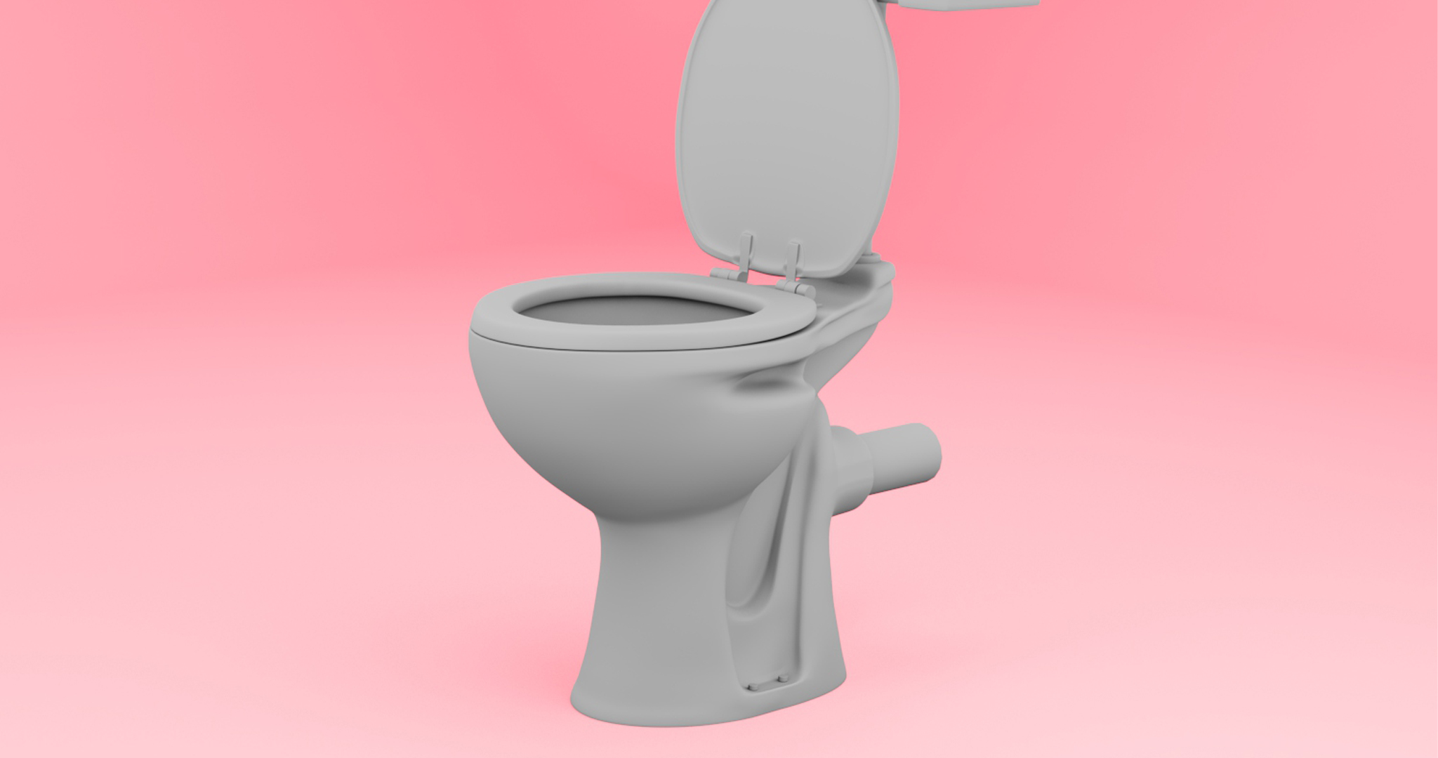 Pampas Toilet